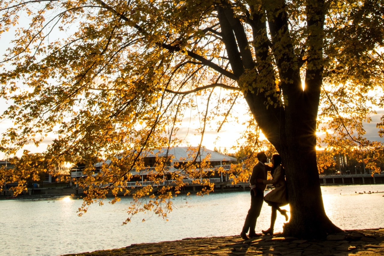 A couple standing together under a large tree in the fall by a river